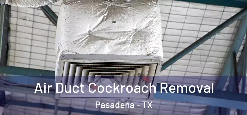 Air Duct Cockroach Removal Pasadena - TX