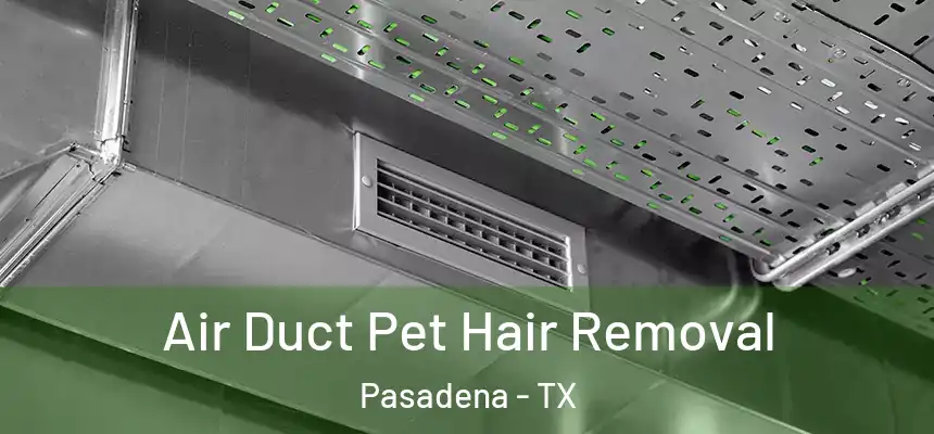 Air Duct Pet Hair Removal Pasadena - TX