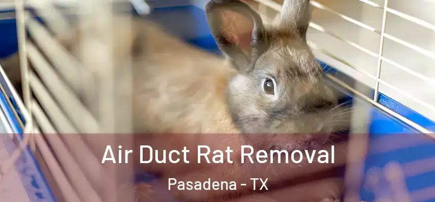  Air Duct Rat Removal Pasadena - TX