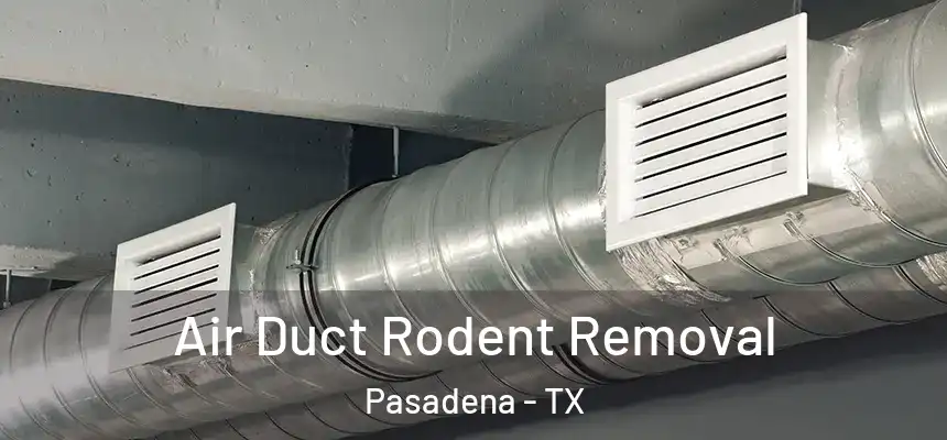  Air Duct Rodent Removal Pasadena - TX