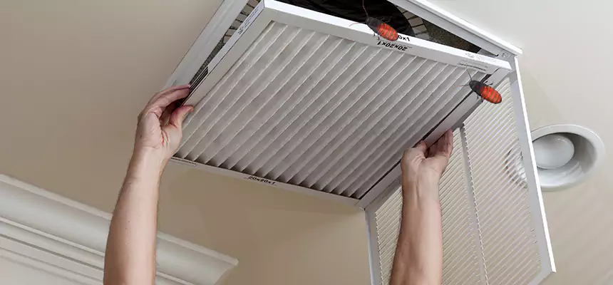 Preventive Cockroach-Proofing for Ducts in Pasadena