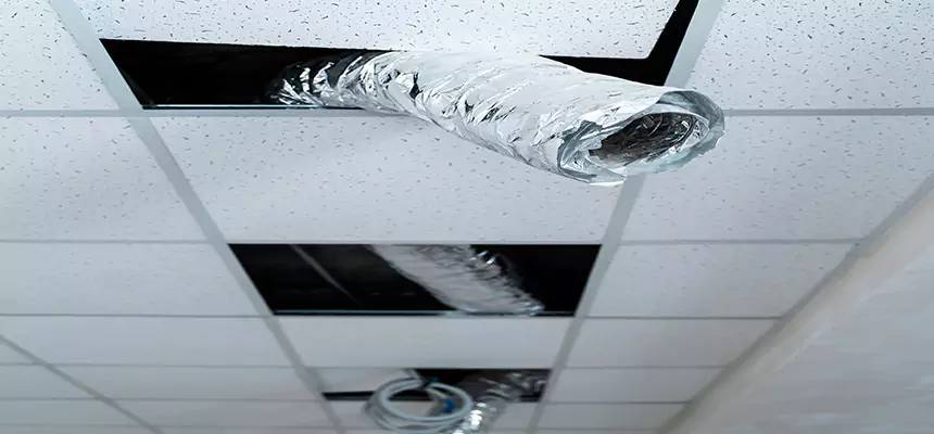 Our Air Duct Pet Hair Removal Services in Pasadena, TX