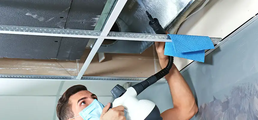 Our Air Duct Rodent Removal Services in Pasadena, TX