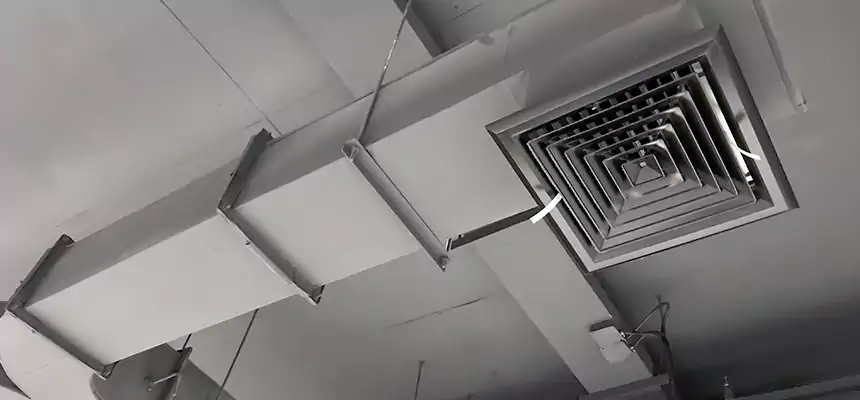 Restorative Allergy Relief Vent Cleaning – Coil, Blower & Housing Detail in Pasadena