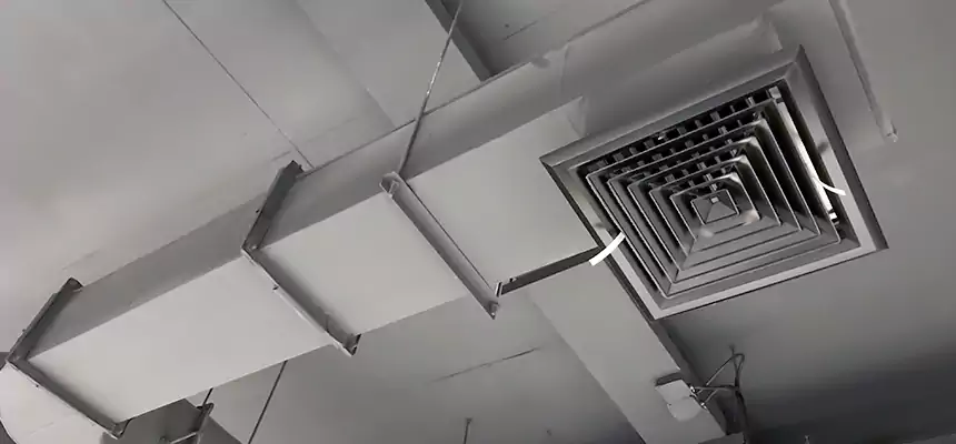 Our Pest Removal From Ducts Services in Pasadena, TX