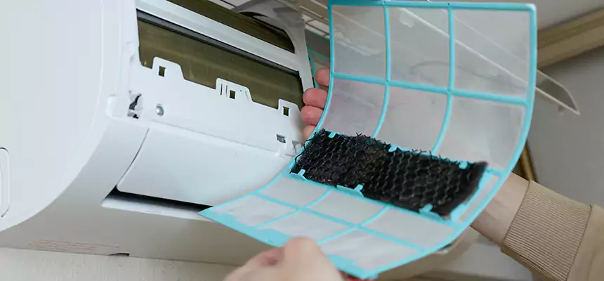 Gentle Ductwork Odor-Control Pet Dander Duct Cleaning in Pasadena, TX