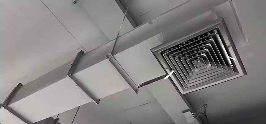 Our Rodent Droppings In Vents Services in Pasadena, TX