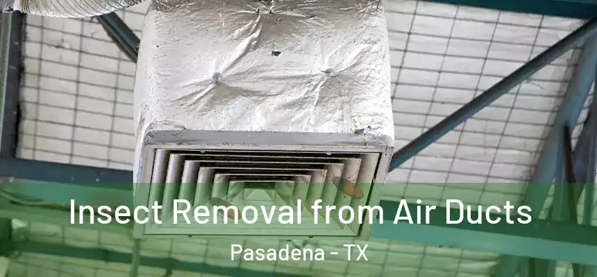  Insect Removal from Air Ducts Pasadena - TX