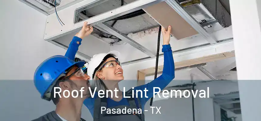  Roof Vent Lint Removal Pasadena - TX