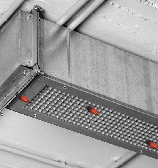 About Air Duct Cockroach Removal in Pasadena, TX