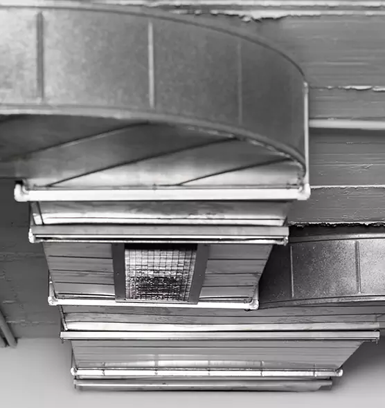 Professional Air Duct Pest Removal in Pasadena, TX