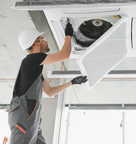 About Air Duct Rodent Removal in Pasadena, TX