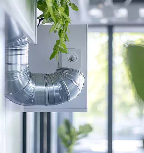 Professional Eco-Safe Dryer Vent Cleaning in Pasadena, TX