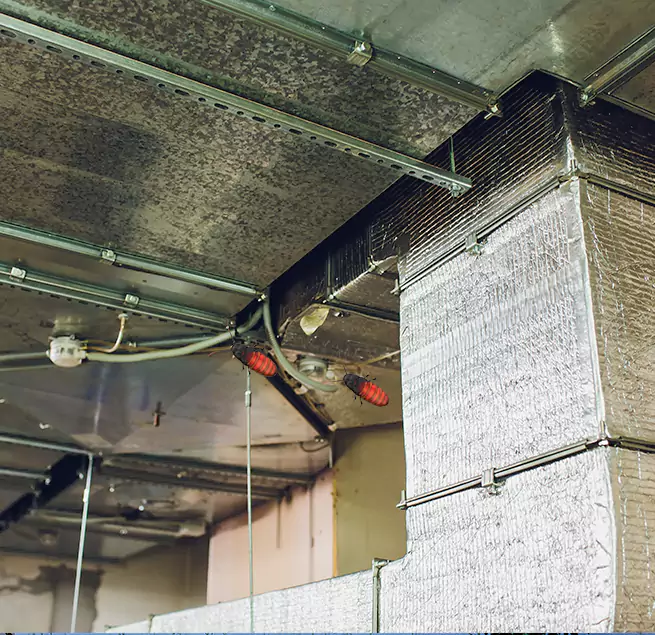 Why Homeowners & Businesses Trust Us in Pasadena, TX?