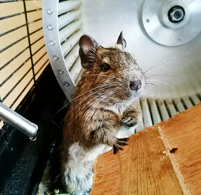 Why Homeowners & Businesses Trust Us Pasadena, TX