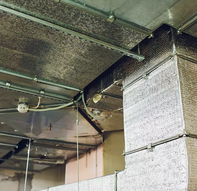 Why Homeowners & Businesses Trust Us in Pasadena, TX?